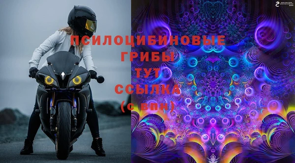 ALPHA-PVP Чегем